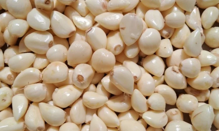 Очищений часник на продаж - фото № 4