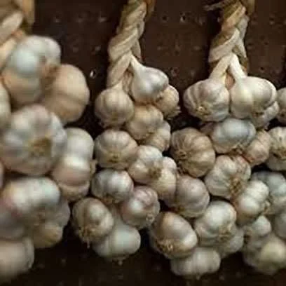 Часник на продаж з ПДВ - фото № 2