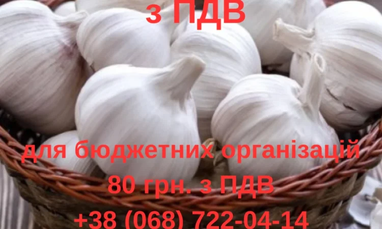 Продаж часнику з ПДВ для бюджетних організацій - фото № 1