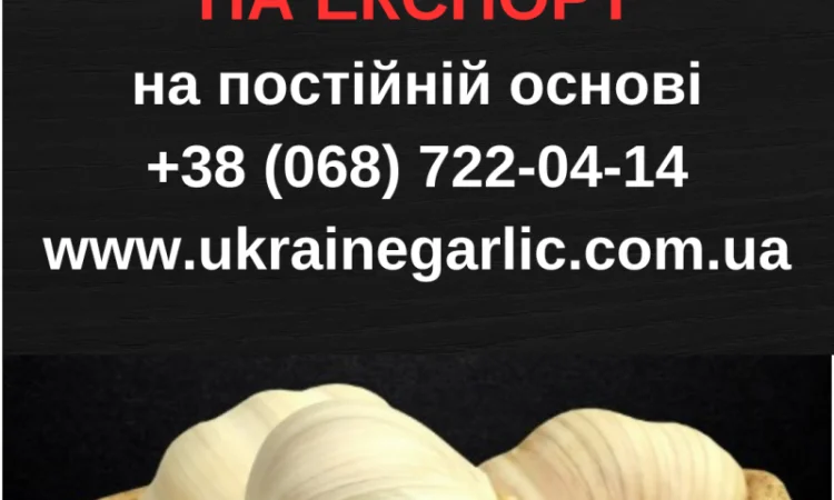 Часник на посадку, 1 тонна в продажу - фото № 2