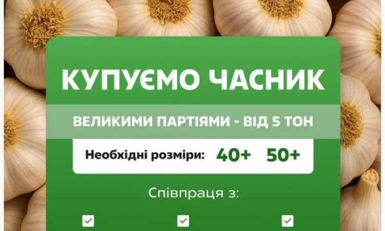 Покупка часнику гуртом - фото № 1