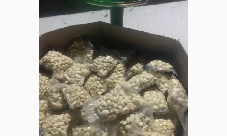 Свіжий очищений часник оптом від ФОП Осадчук А.В. - фото № 4