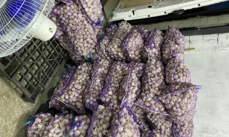 Часник озимий на продаж - фото № 7