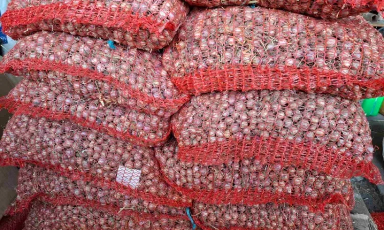 Продаж часнику сорту Любаша - фото № 8