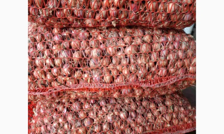 Продаж часнику сорту Любаша - фото № 9