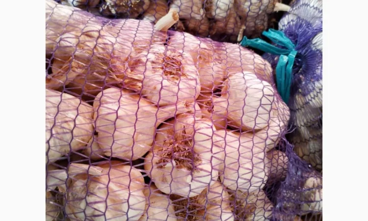 Продажа посадочного чеснока различных сортов - фото № 7