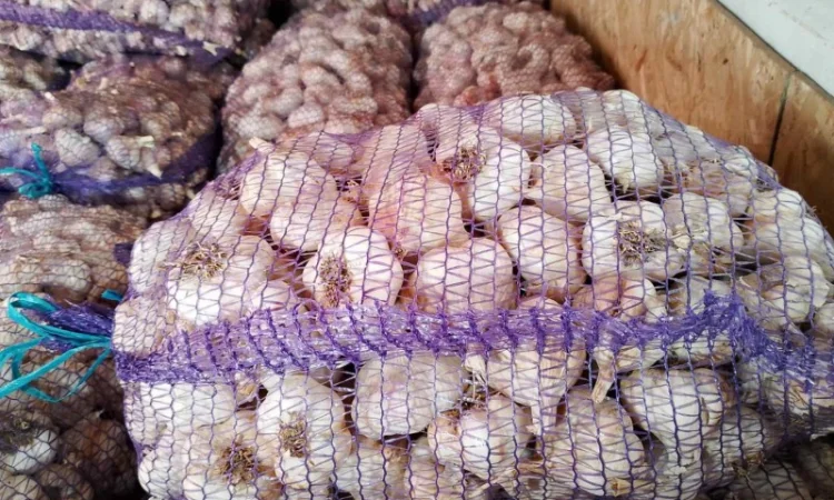 Чеснок на еду - фото № 9