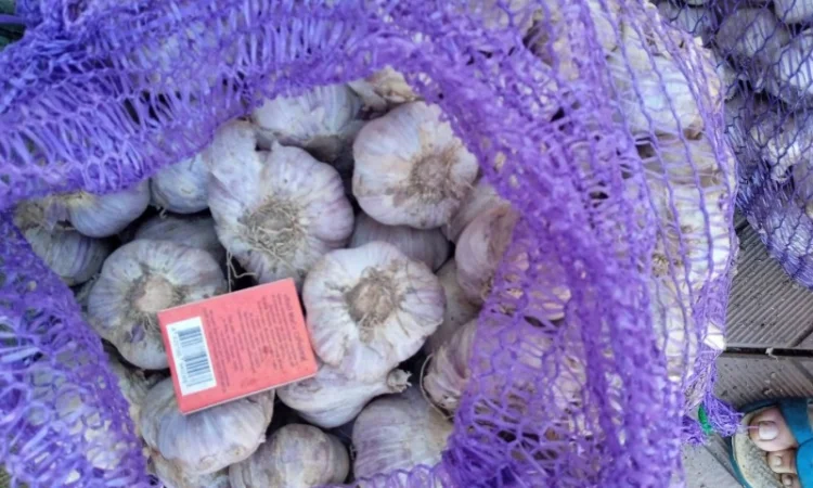 Продажа посадочного чеснока различных сортов - фото № 3