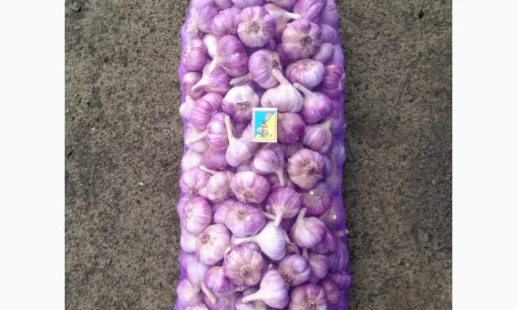 Продажа Воздушка Любаша Чеснок - фото № 8