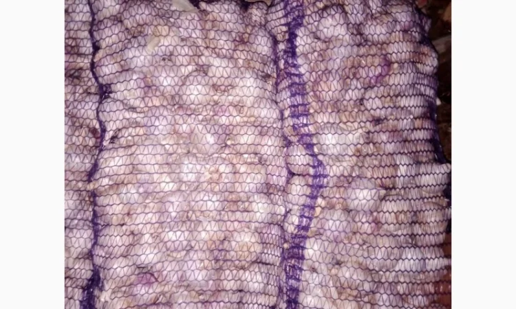 Продажа чеснока по выгодным ценам - фото № 1