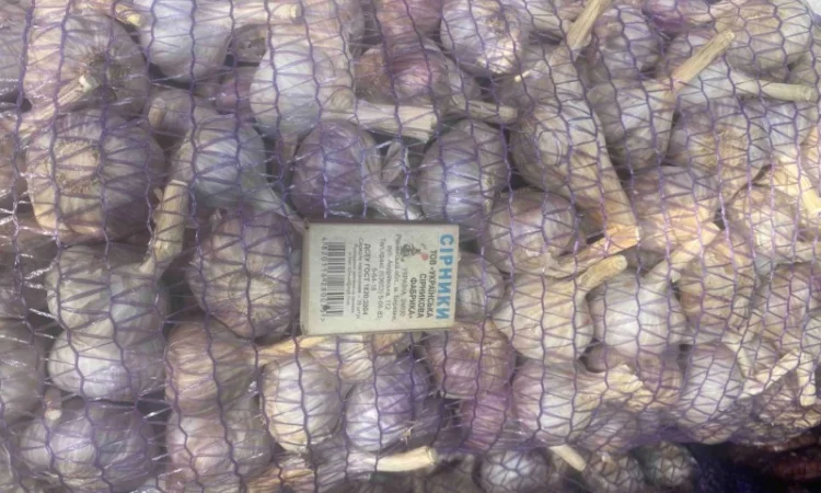 Чеснок для переработки и использования в пищевой промышленности - фото № 4