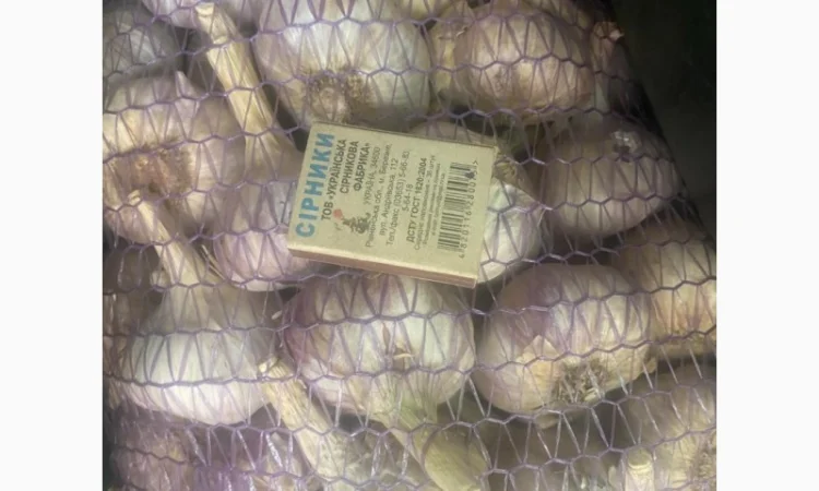 Чеснок для переработки и использования в пищевой промышленности - фото № 5