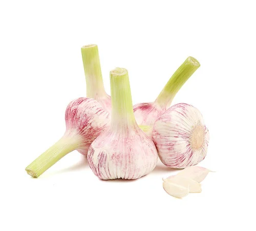 Покупка чеснока - фото № 1