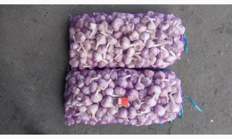 Чеснок Любаша, 15 тонн, продажа - фото № 6