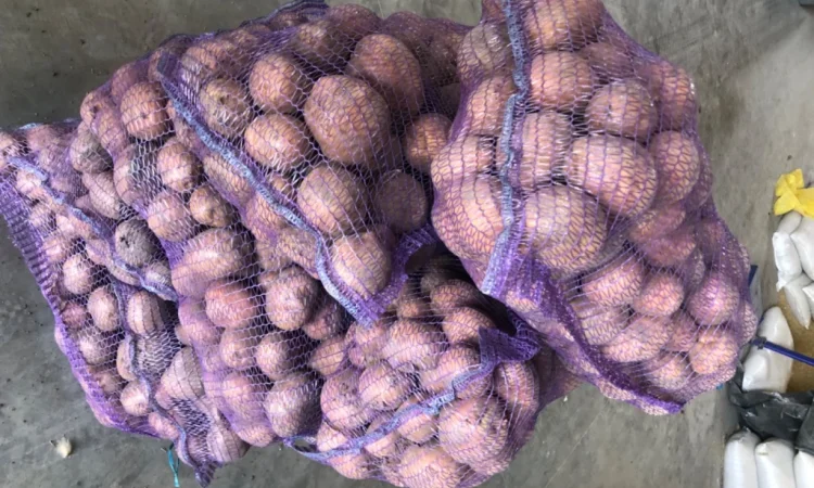 Куплю товарну картоплю різних сортів - фото № 3