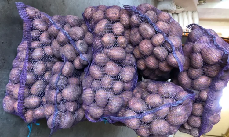 Куплю товарну картоплю різних сортів - фото № 4