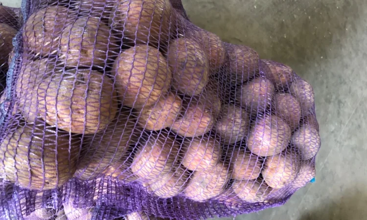 Куплю товарну картоплю різних сортів - фото № 5