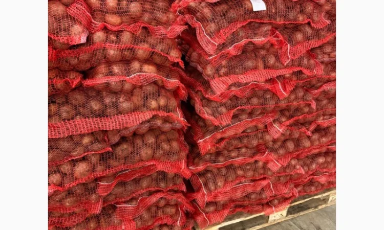 Продаж картоплі 5+ для харчування - фото № 1