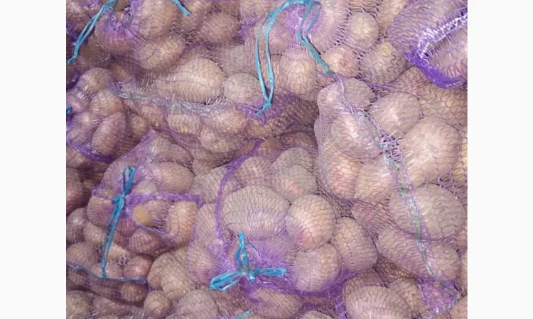 Продаю картофель красных и белых сортов - фото № 4