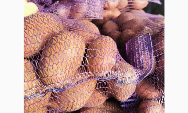 Куплю картоплю сорту Рікардо - фото № 1