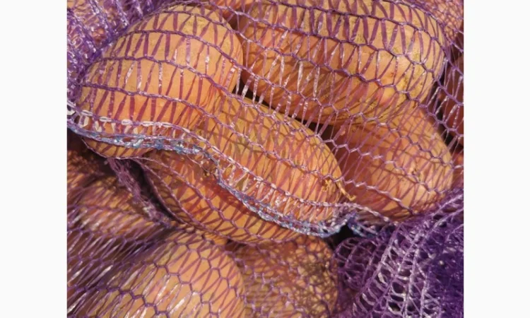 Куплю картоплю сорту Рікардо - фото № 5