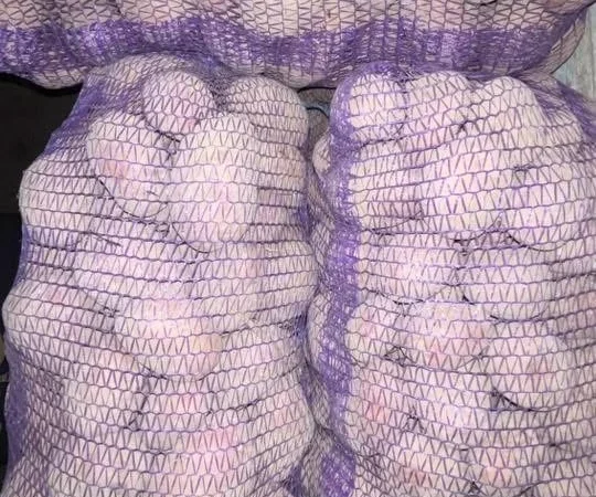 Купити картоплю та моркву - фото № 3