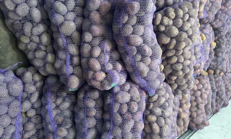 Купити картоплю та моркву - фото № 5