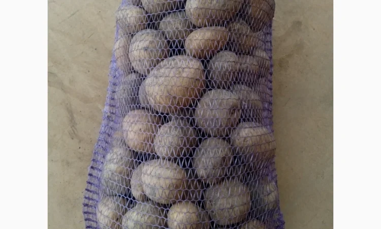 Продам картоплю АРІЗОНА та ГРАНАДА - фото № 4