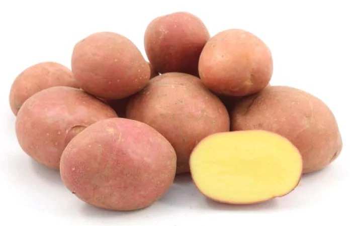 Продаж насінневої картоплі сорту Есмі - фото № 1