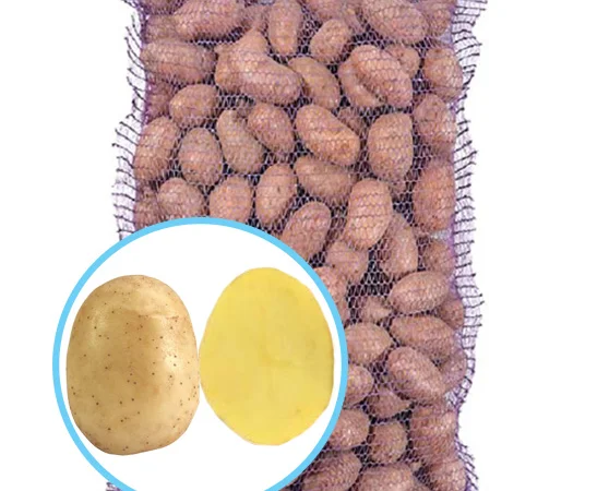 Продажа насиннєвої картоплі сорту Мелоді - фото № 1