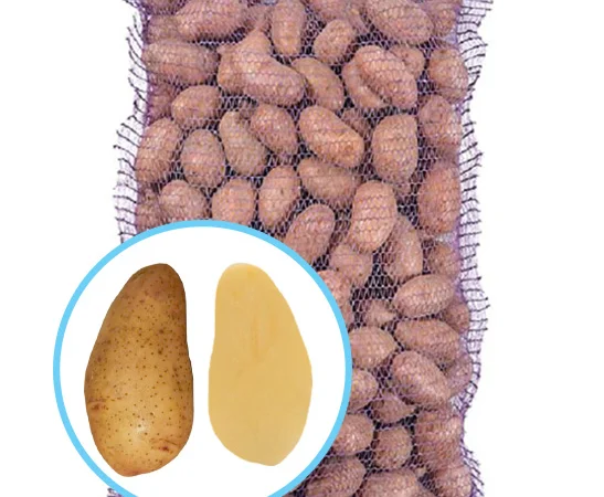 Продаж насіннєвої картоплі Тирас оптом - фото № 1