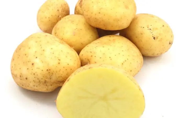 Продаж насінневої картоплі сорту Арізона. Перша репродукція. Роздріб від 20 кг - фото № 1