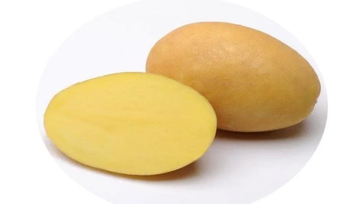 Пропоную насіннєву картоплю сорту Сюзанна - фото № 1