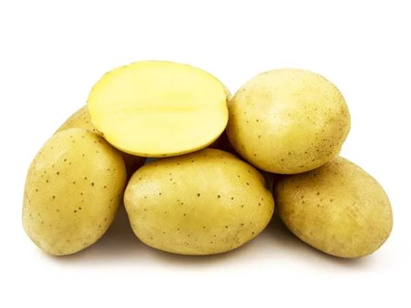 Продаж насіннєвої картоплі сорту Прада - фото № 1