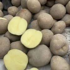 Насіннєва картопля Рів’єра та інші сорти - фото № 1