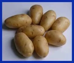 Насіннєва картопля Гранада - продаж від 10 кг - фото № 1