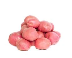 Насіннєва картопля Беллароза, продаж - фото № 1