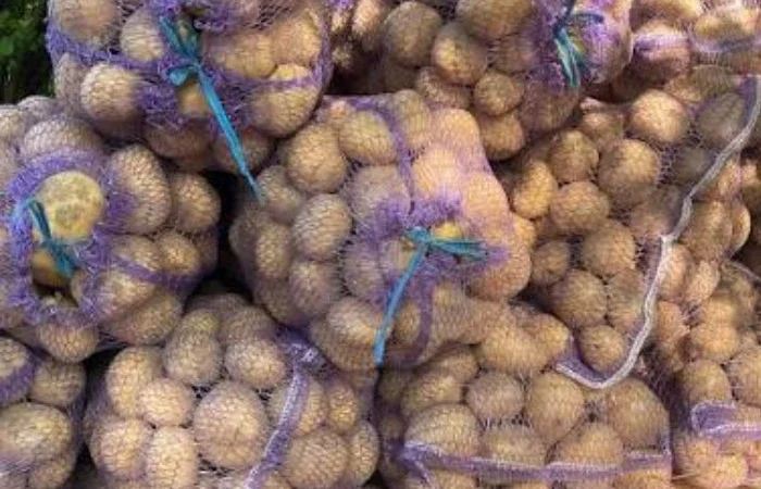 Продаж картоплі сорту Коннект в сітці - фото № 1