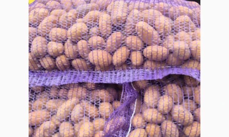 Пропонується насіння картоплі сорту Королева Анна оптом від 10 тонн - фото № 1