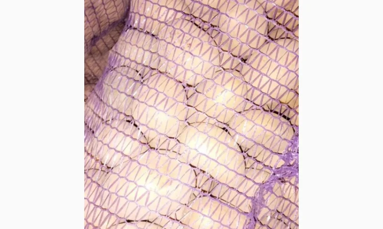 Продаю картошку сорта Аризона - фото № 1