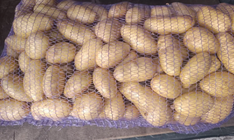 Продается картошка сорта Гранада - фото № 1