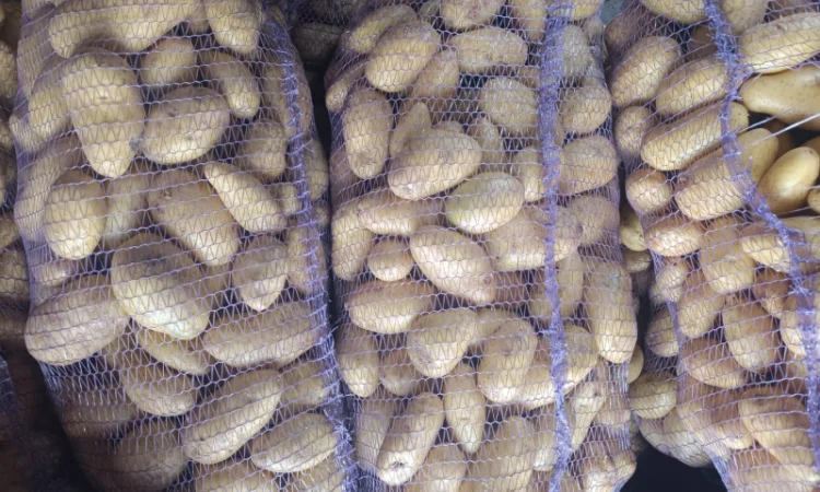 Продается картошка сорта Гранада - фото № 2