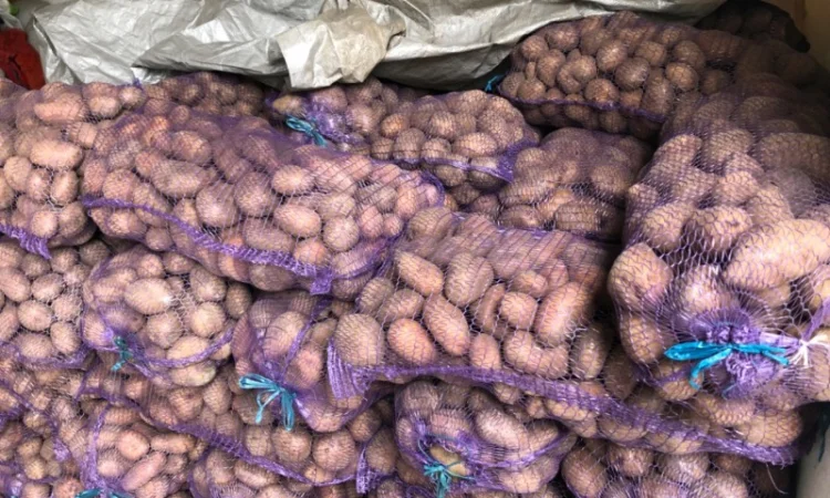 Якісна картопля на продаж - фото № 1