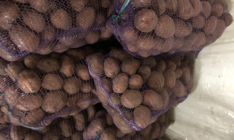 Якісна картопля на продаж - фото № 2