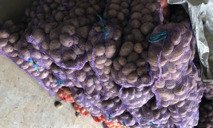 Якісна картопля на продаж - фото № 3