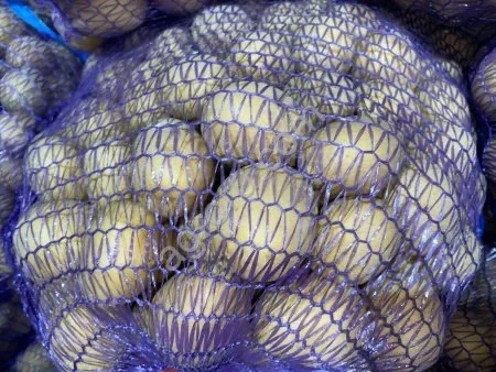 Якісна насіннєва картопля Арізона оптом - фото № 1