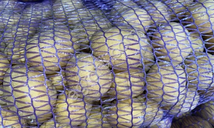 Продаж насіннєвої картоплі Арізона 1-2 репродукція - фото № 1