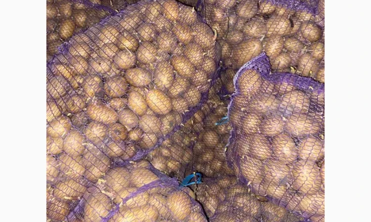 Продаю насіннєву картоплю сорту Арізона - фото № 4