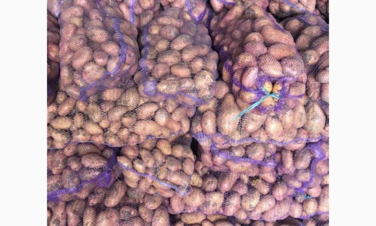 Продается товарная картошка от фермеров и поставщиков от 10 тонн - фото № 1