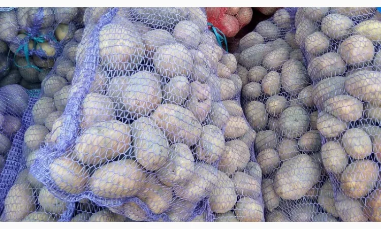 Продается картофель нескольких сортов от поставщика, 20 тонн - фото № 4